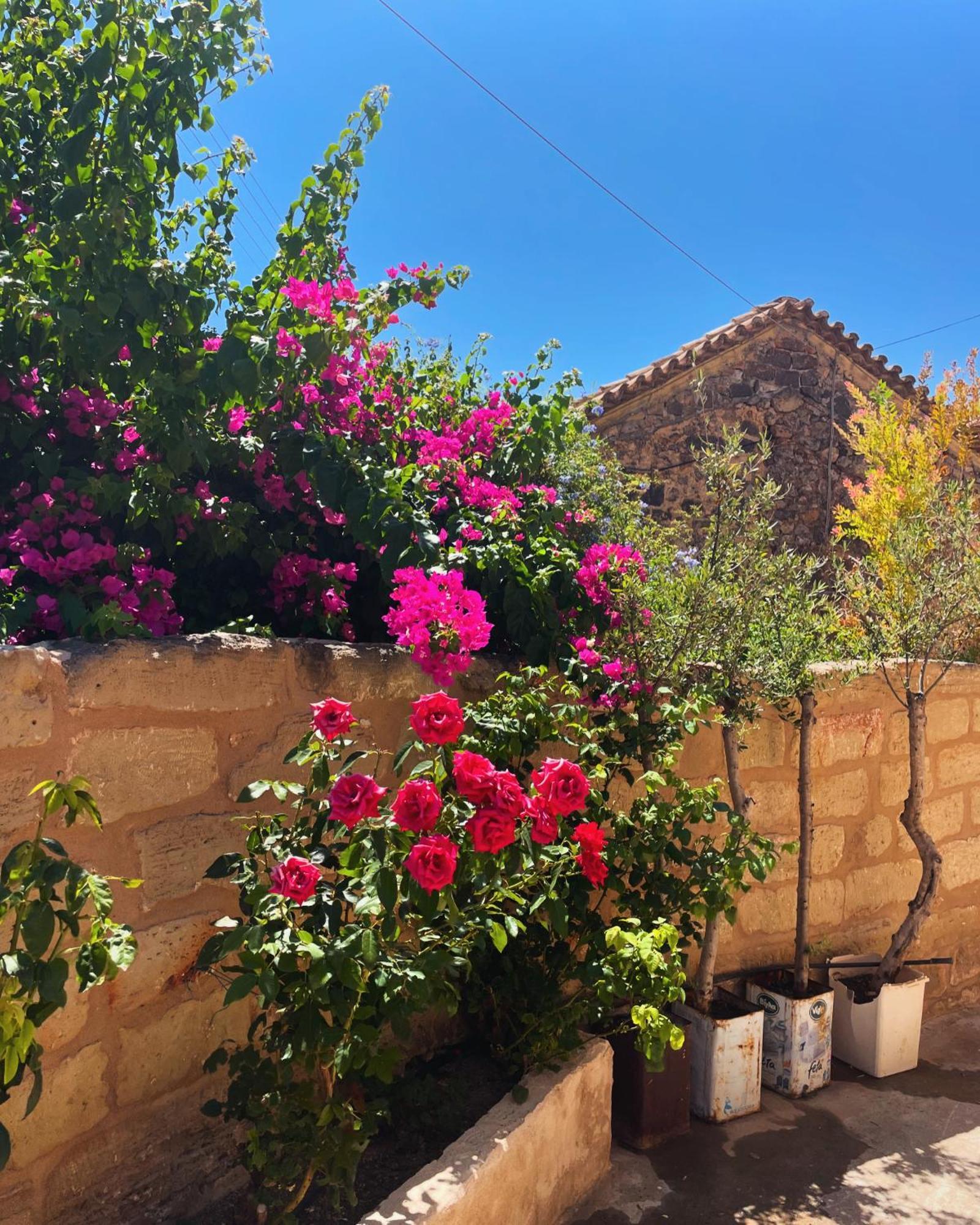 Pyrgos Fassea Kardamyli Villa Ngoại thất bức ảnh